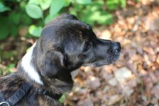 53_gc_stammtisch_45_20150506